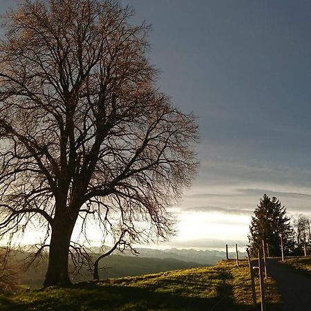Kuhnest Apartman Scheidegg Kültér fotó