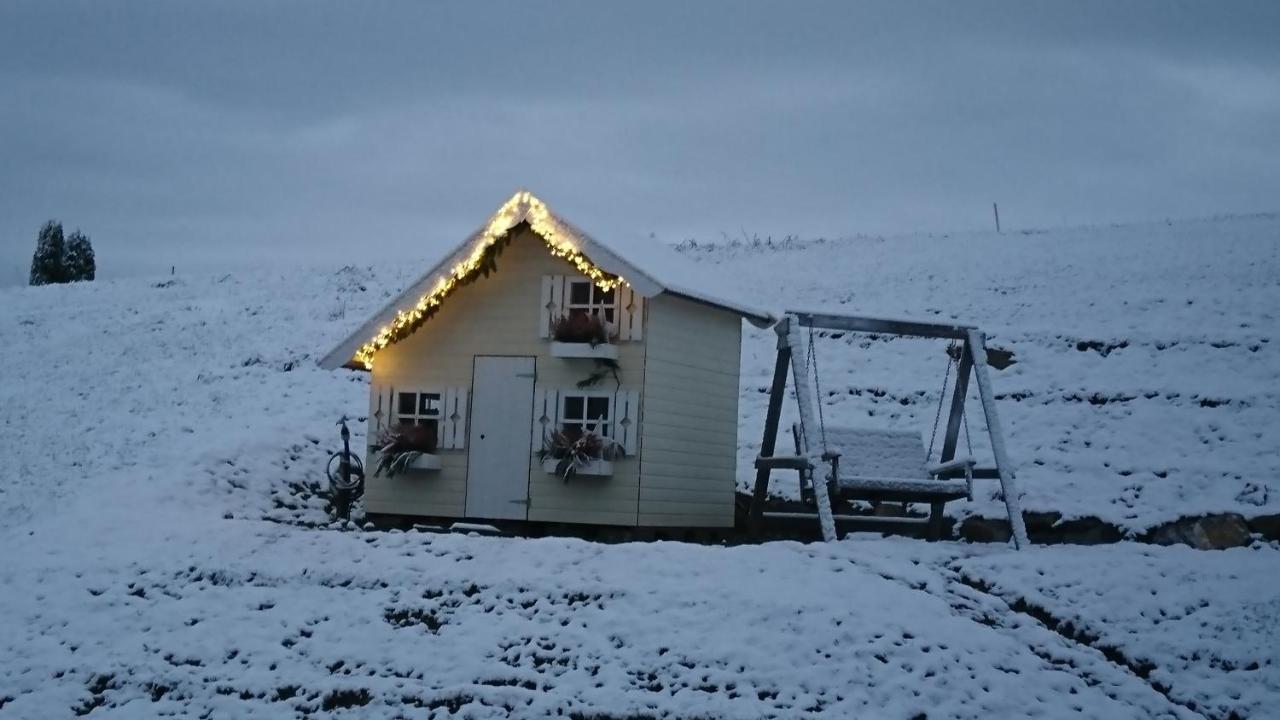 Kuhnest Apartman Scheidegg Kültér fotó